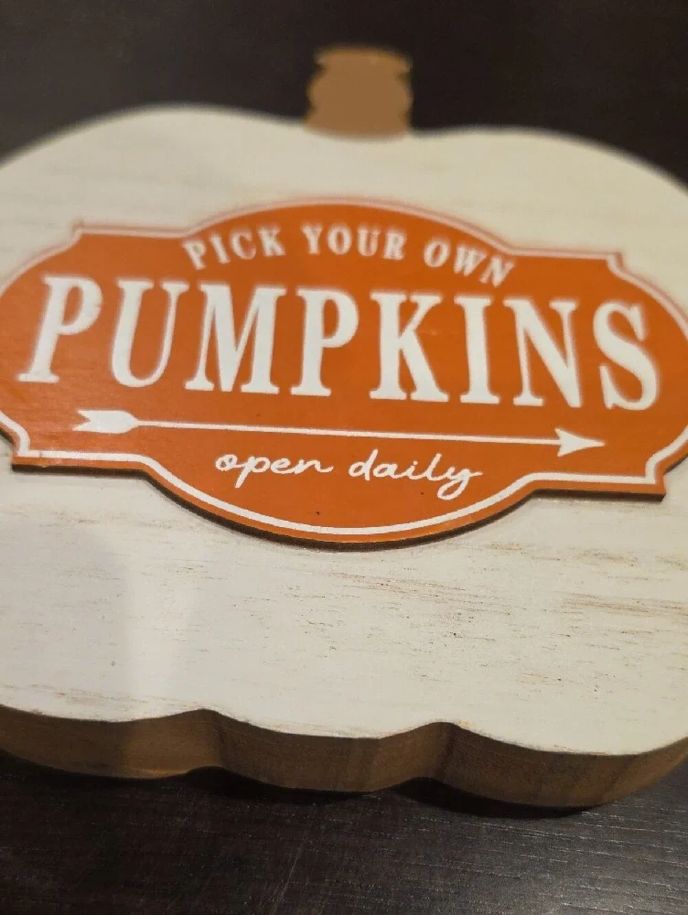 Rustic White Pumpkin Sign with Orange 'Pumpkins' Label - Home Decor